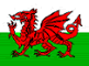 Croeso Network