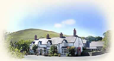 The Hand at Llanarmon